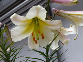 Foto: Dr. Peter Müller